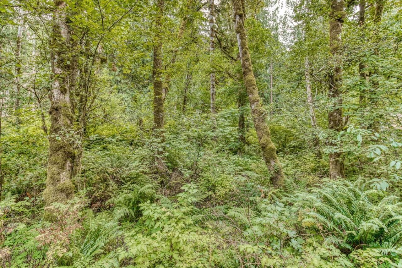 Creekside Cabin Rhododendron Exterior foto